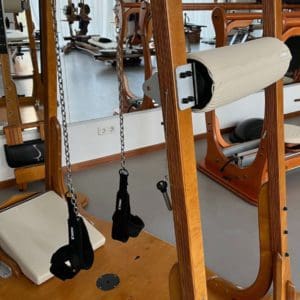 for Gyrotonic Archways